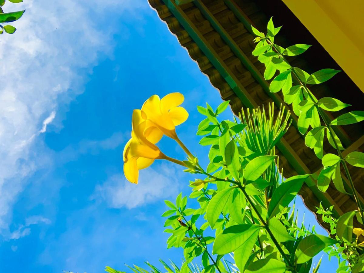 Canary Bungalow Phú Quốc Eksteriør billede