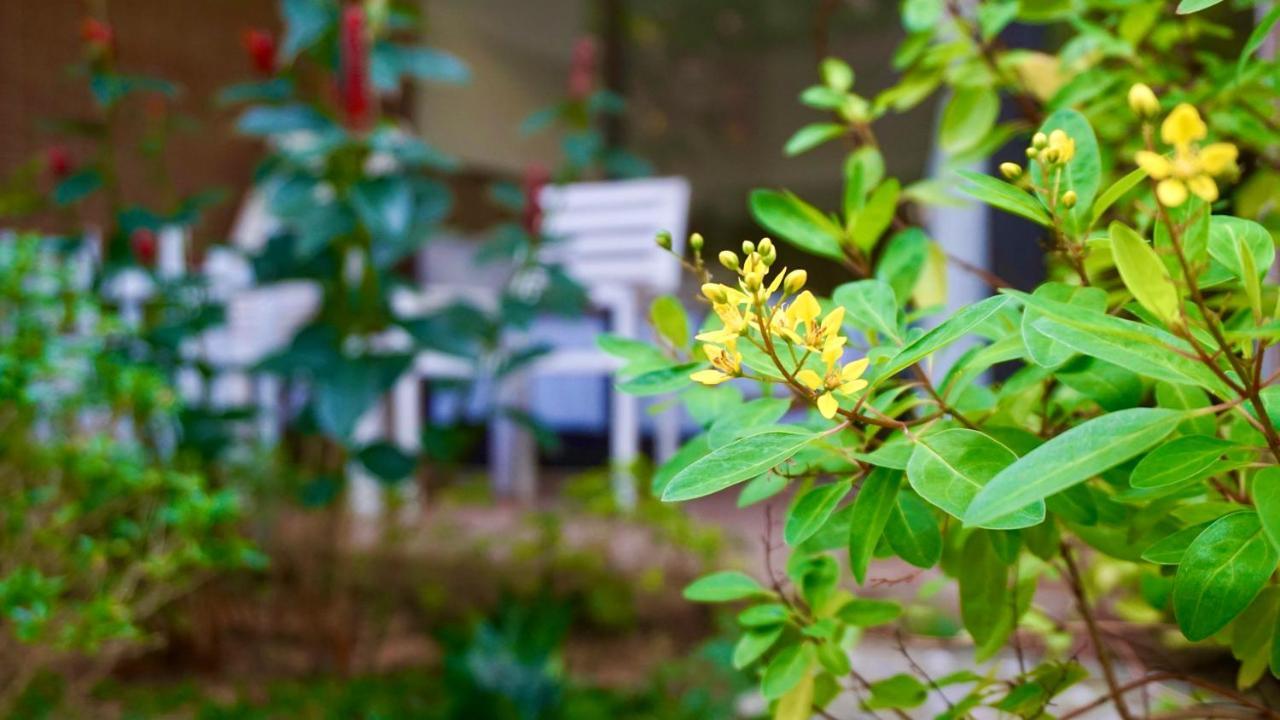 Canary Bungalow Phú Quốc Eksteriør billede